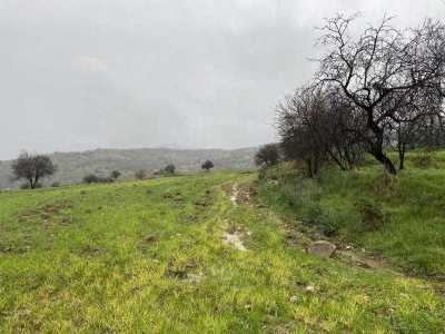 Residential Land For Sale in 