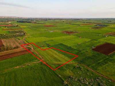 Residential Land For Sale in Avgorou, Cyprus