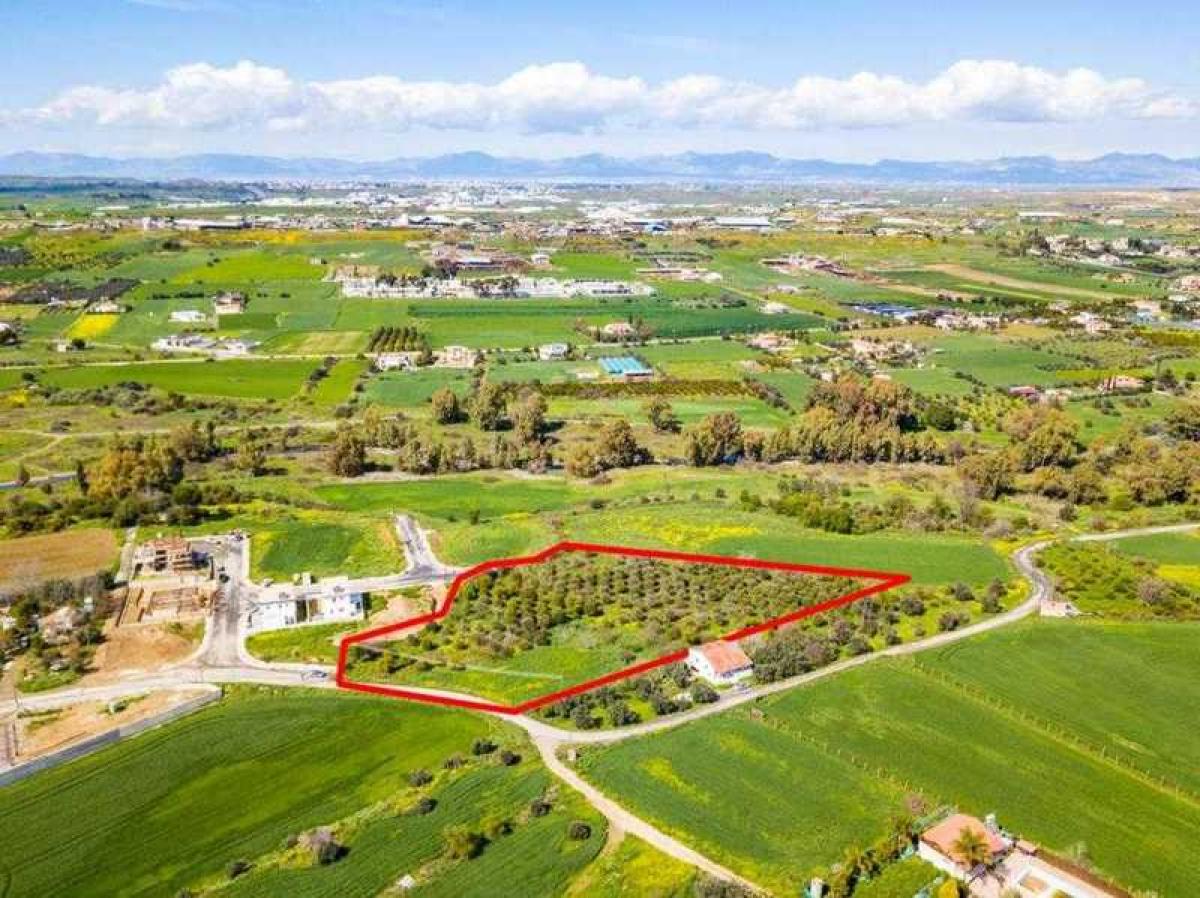 Picture of Residential Land For Sale in Dali, Nicosia, Cyprus