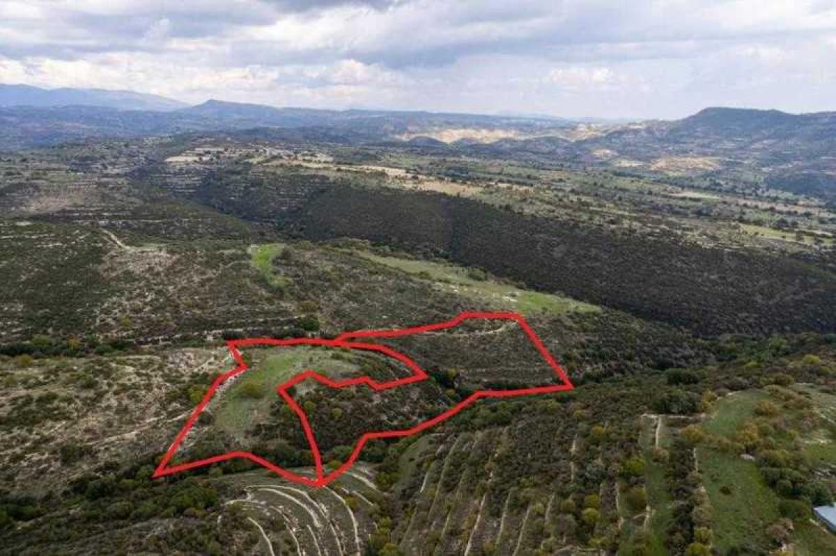 Picture of Residential Land For Sale in Dora, Paphos, Cyprus