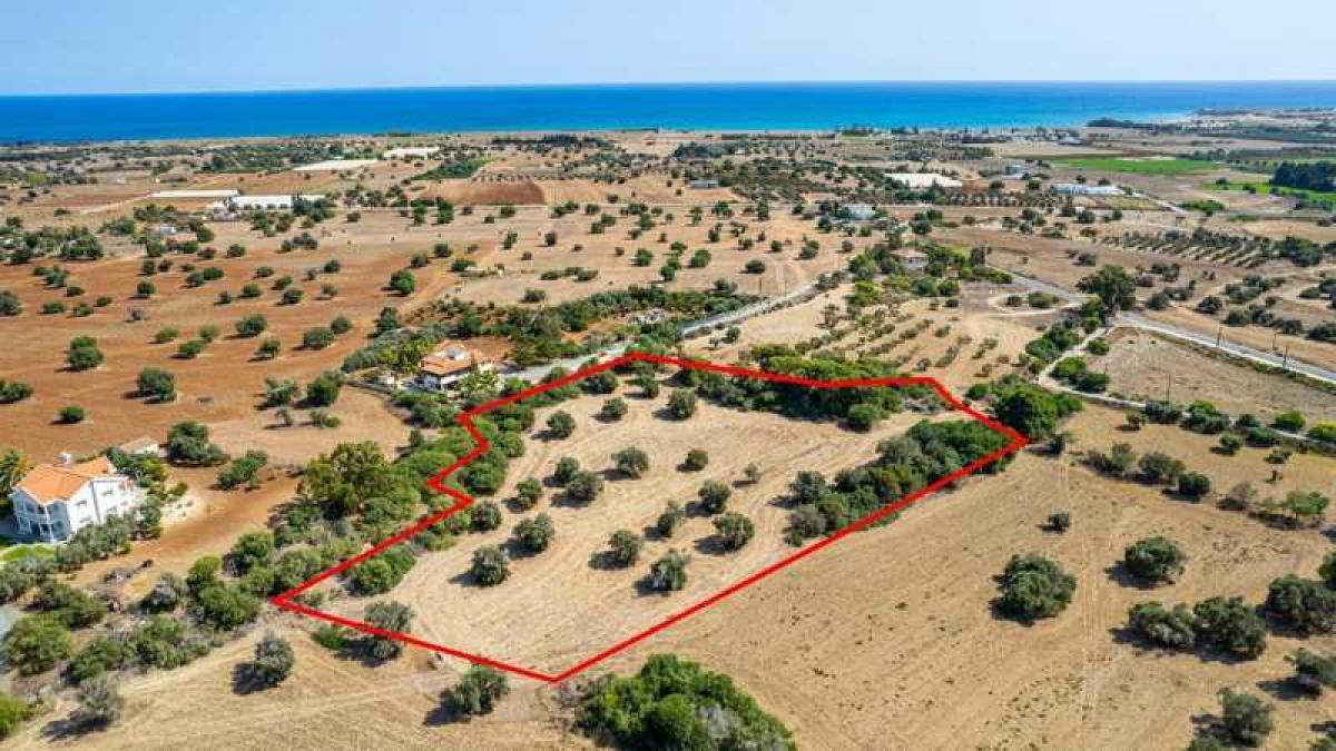 Picture of Residential Land For Sale in Mazotos, Other, Cyprus