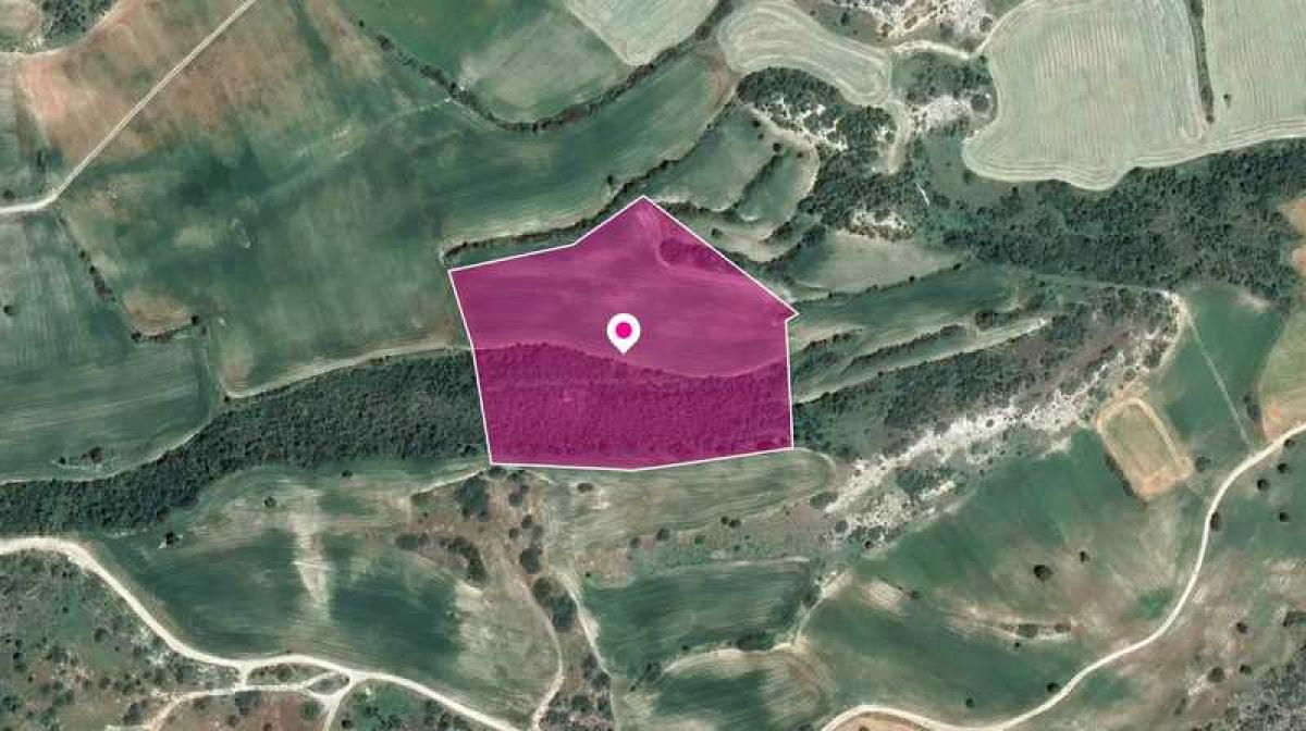 Picture of Residential Land For Sale in Agios Theodoros, Paphos, Cyprus