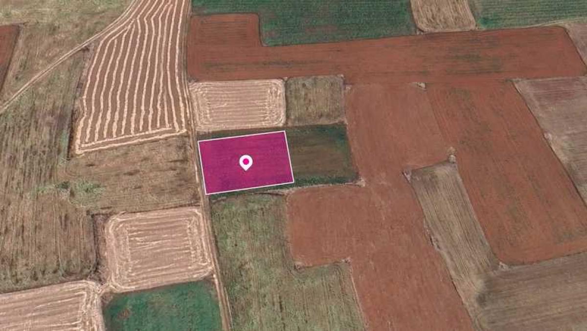 Picture of Residential Land For Sale in Agioi Trimithias, Other, Cyprus