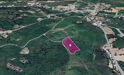 Residential Land For Sale in 