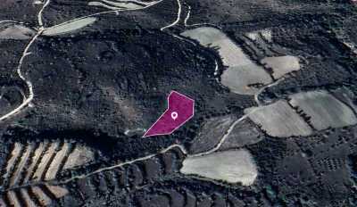 Residential Land For Sale in Dora, Cyprus