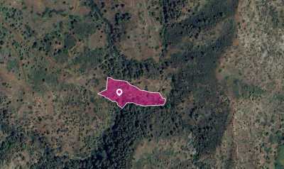 Residential Land For Sale in Pigenia, Cyprus