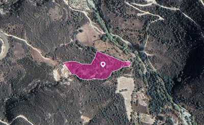 Residential Land For Sale in Arminou, Cyprus