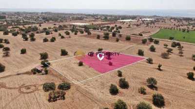 Residential Land For Sale in Mazotos, Cyprus