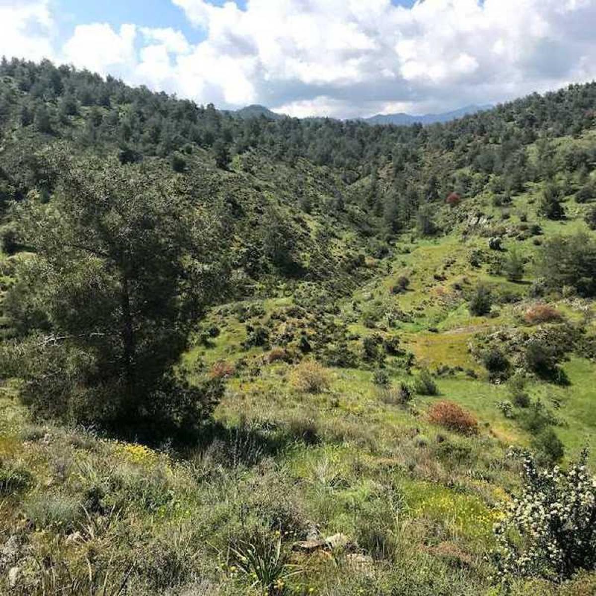 Picture of Residential Land For Sale in Kapedes, Other, Cyprus