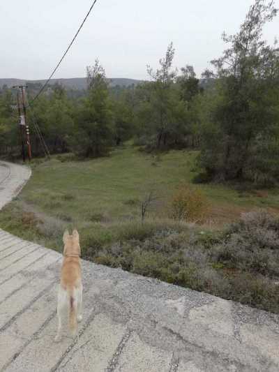 Residential Land For Sale in Nicosia, Cyprus