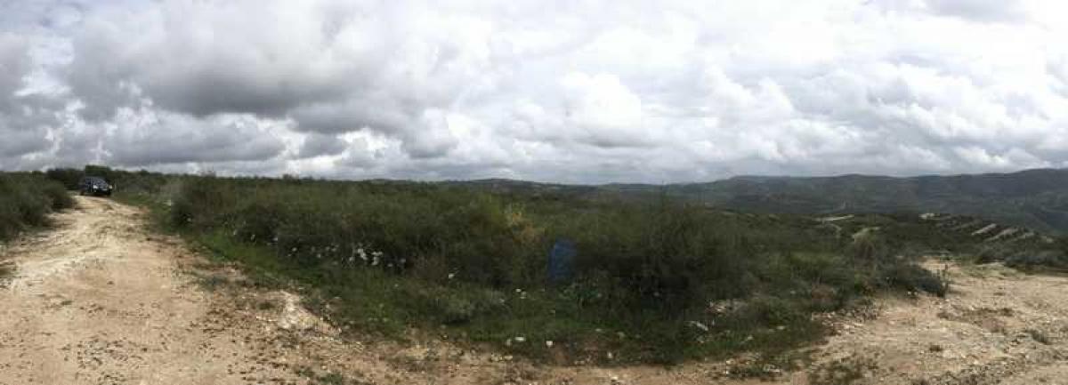 Picture of Residential Land For Sale in Praitori, Paphos, Cyprus