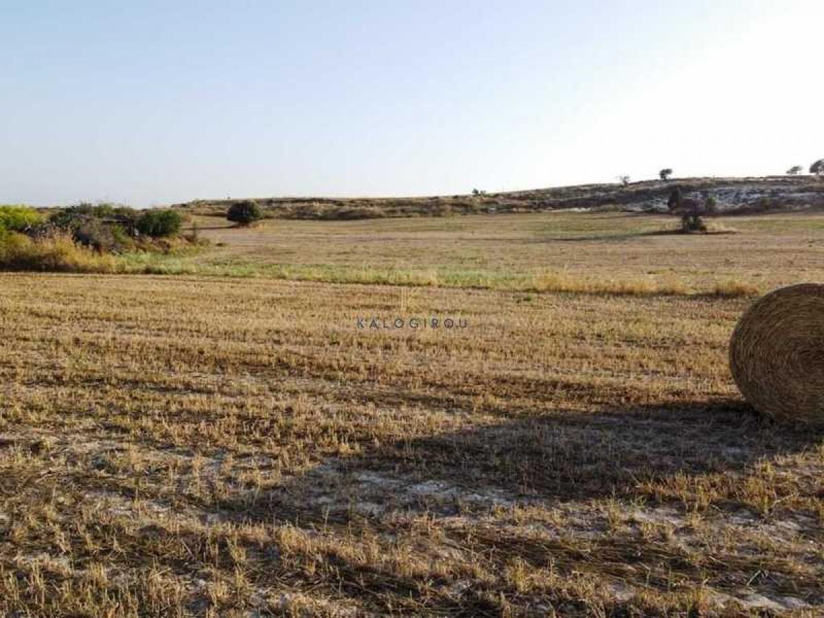 Picture of Residential Land For Sale in Tersefanou, Other, Cyprus