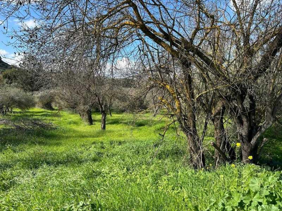 Picture of Residential Land For Sale in Paramytha, Limassol, Cyprus