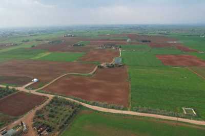 Residential Land For Sale in Avgorou, Cyprus