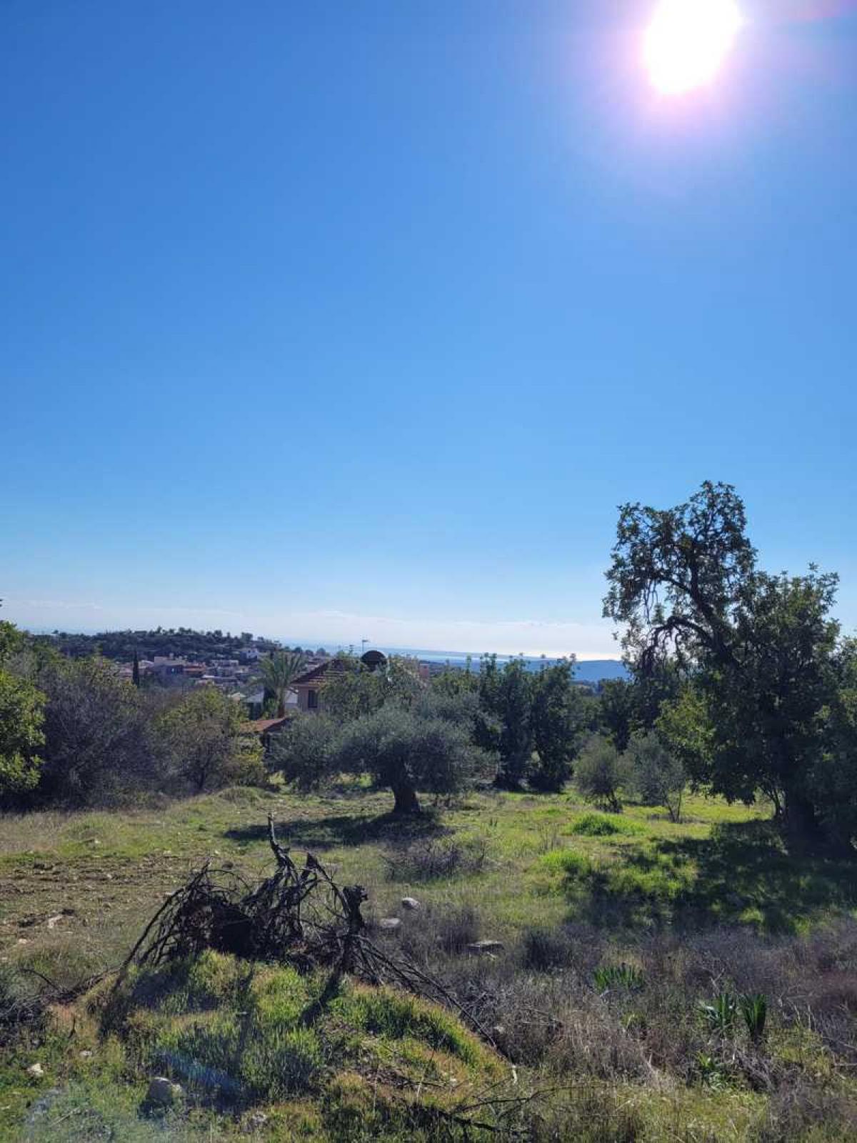 Picture of Residential Land For Sale in Apesia, Limassol, Cyprus