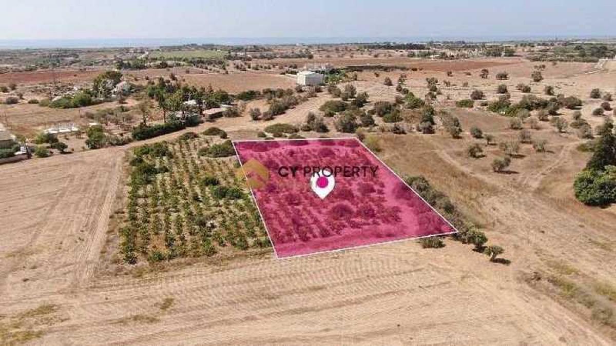 Picture of Residential Land For Sale in Mazotos, Other, Cyprus