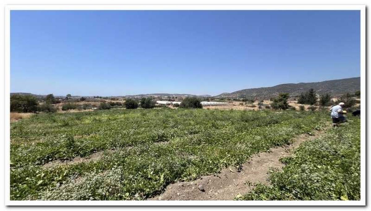 Picture of Residential Land For Sale in Parekklisia, Limassol, Cyprus