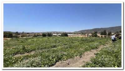 Residential Land For Sale in Parekklisia, Cyprus