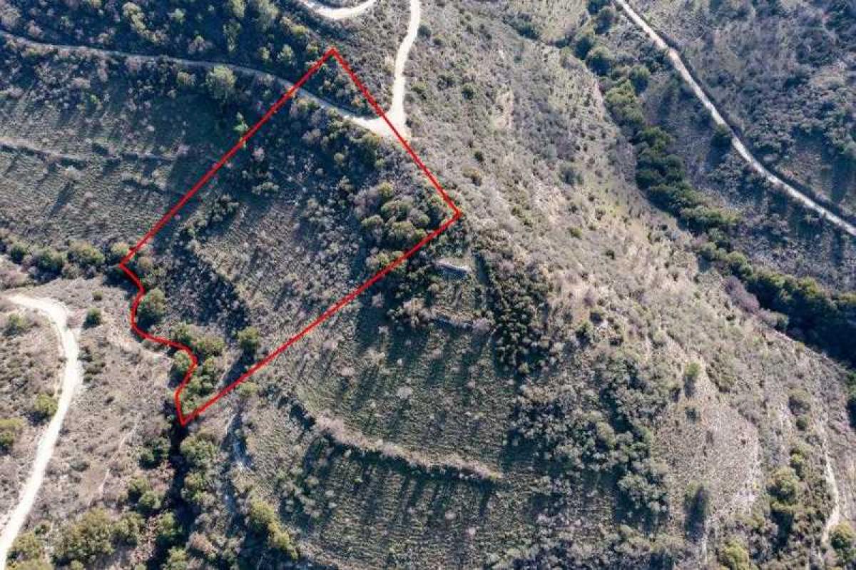 Picture of Residential Land For Sale in Dora, Paphos, Cyprus