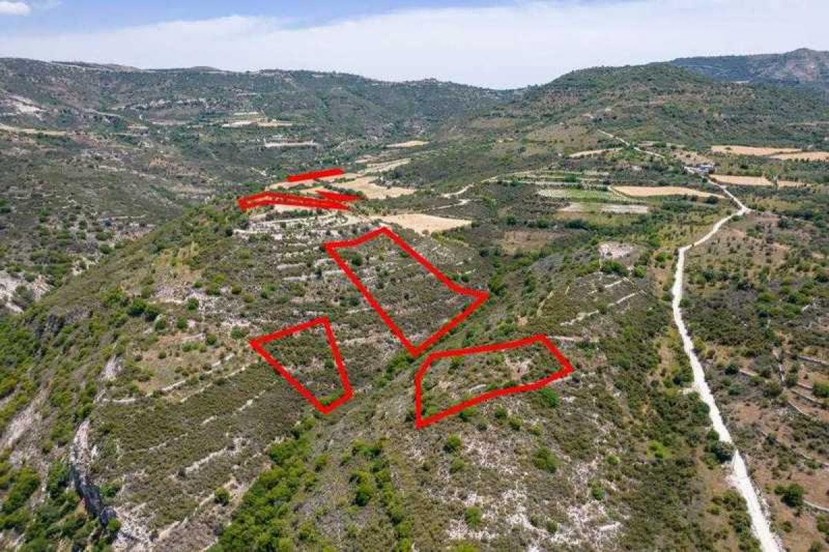 Picture of Residential Land For Sale in Dora, Paphos, Cyprus