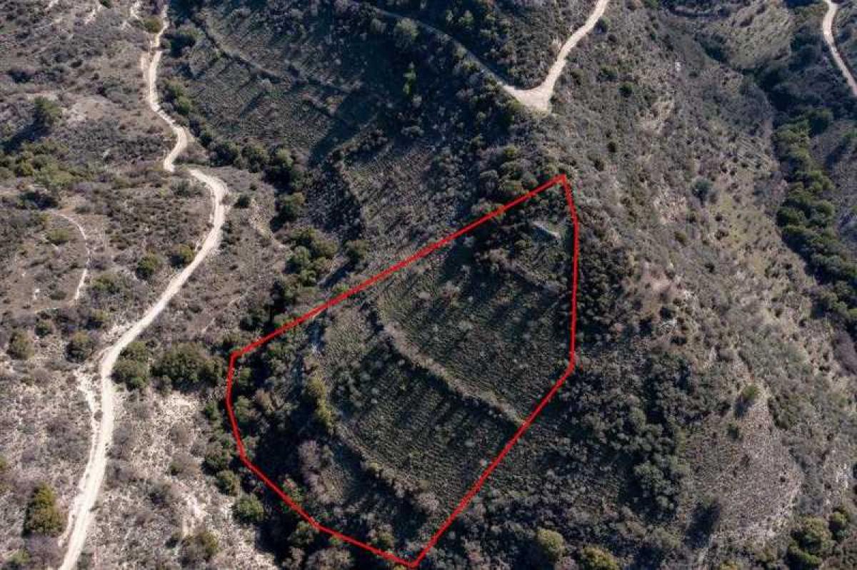 Picture of Residential Land For Sale in Dora, Paphos, Cyprus