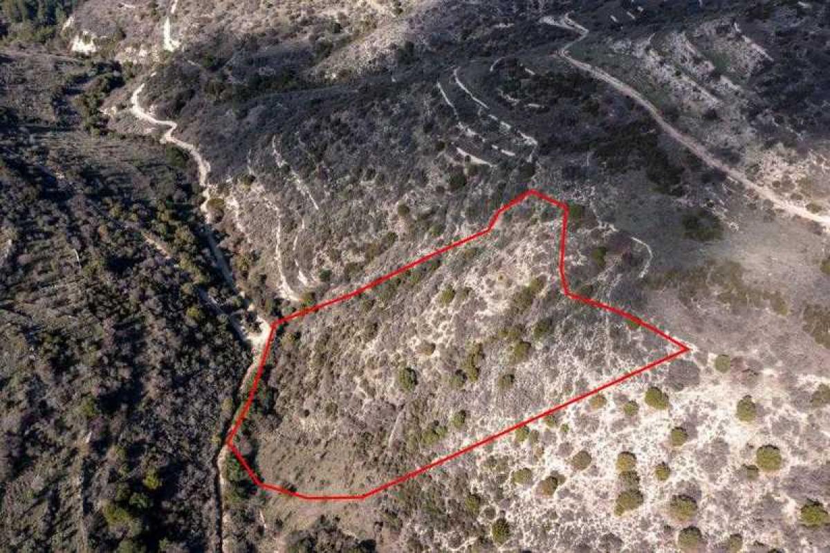 Picture of Residential Land For Sale in Dora, Paphos, Cyprus