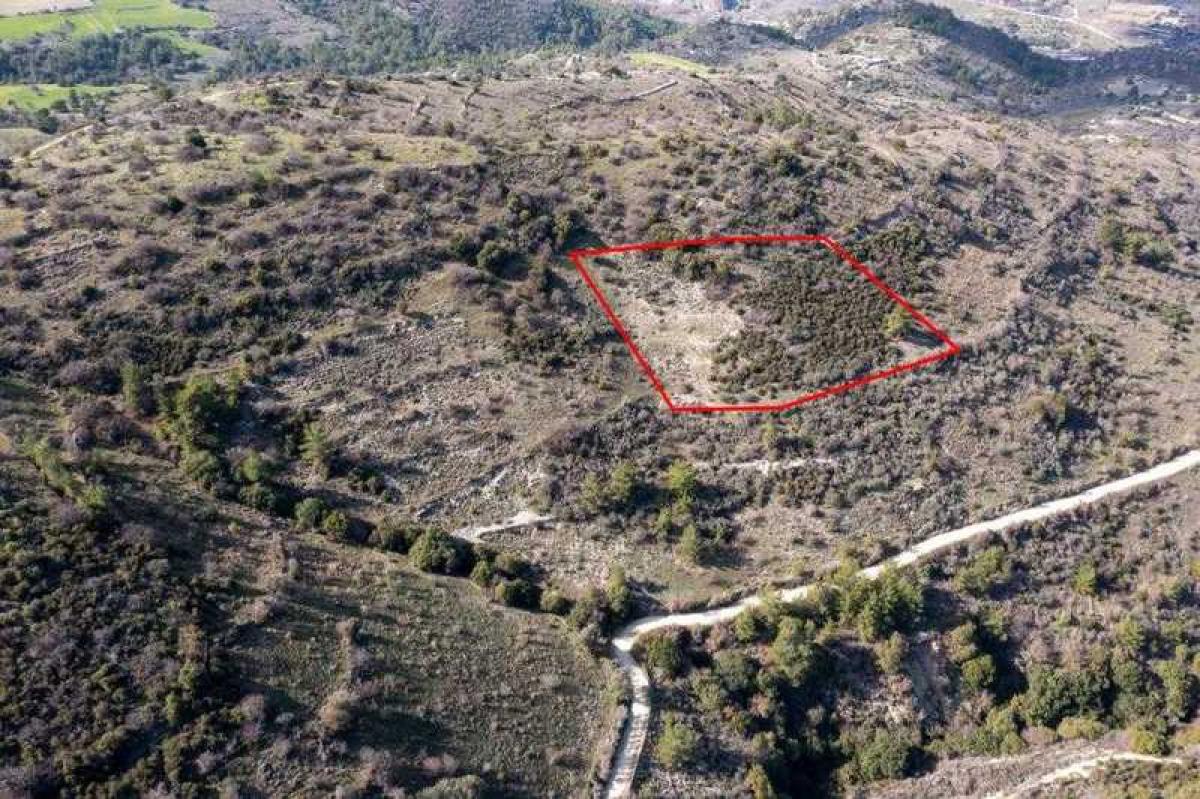 Picture of Residential Land For Sale in Dora, Paphos, Cyprus