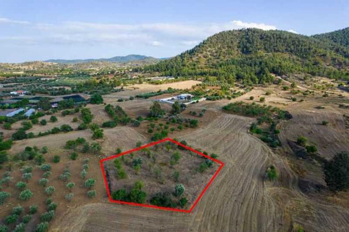 Picture of Residential Land For Sale in Klirou, Other, Cyprus