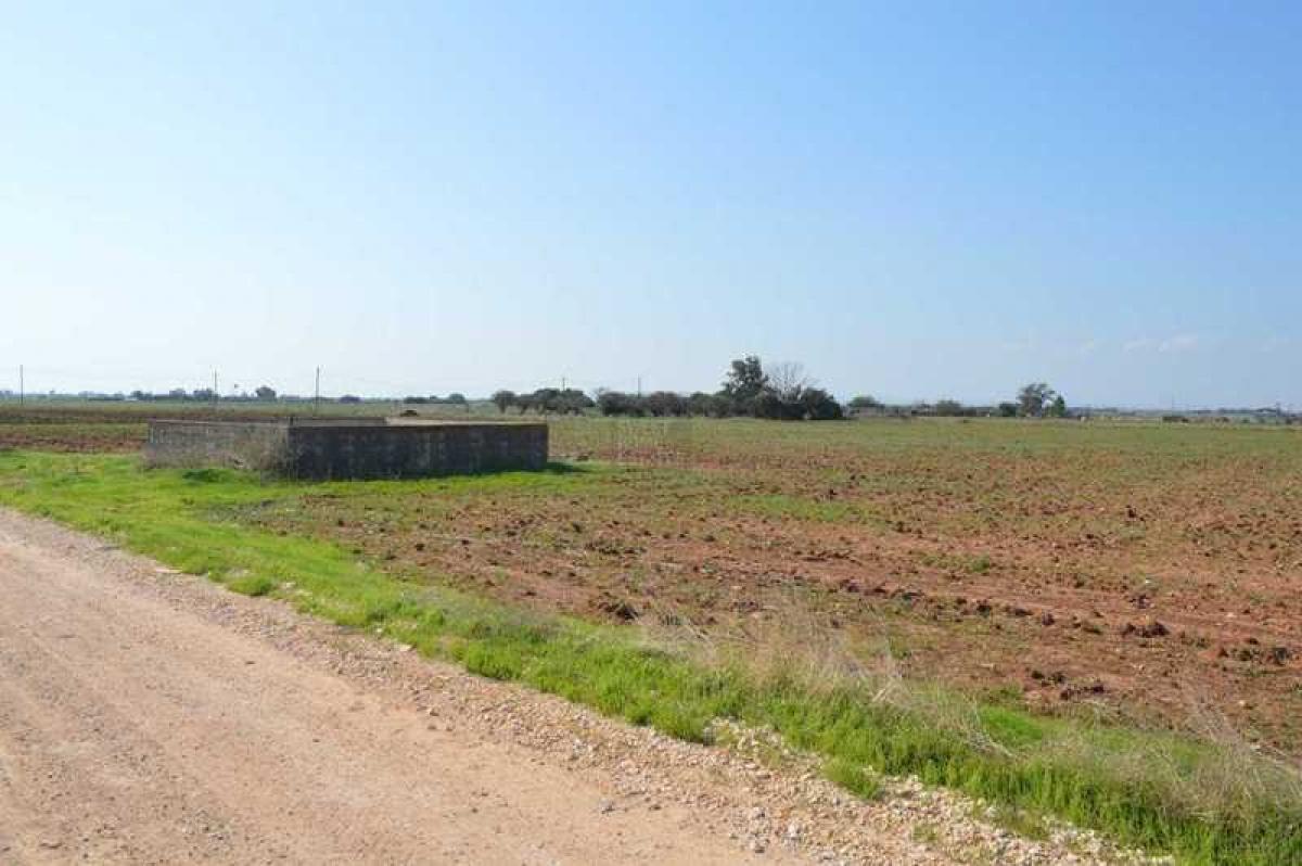 Picture of Residential Land For Sale in Avgorou, Famagusta, Cyprus