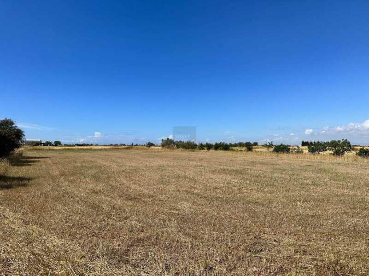 Picture of Residential Land For Sale in Avgorou, Famagusta, Cyprus