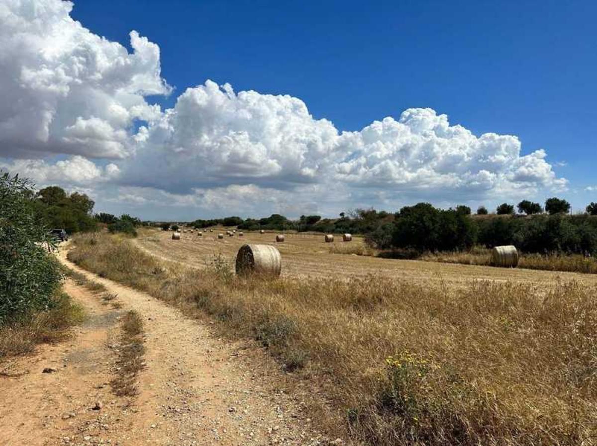 Picture of Residential Land For Sale in Avgorou, Famagusta, Cyprus