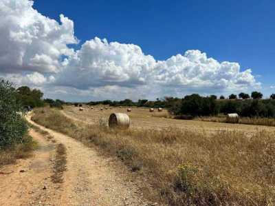 Residential Land For Sale in Avgorou, Cyprus