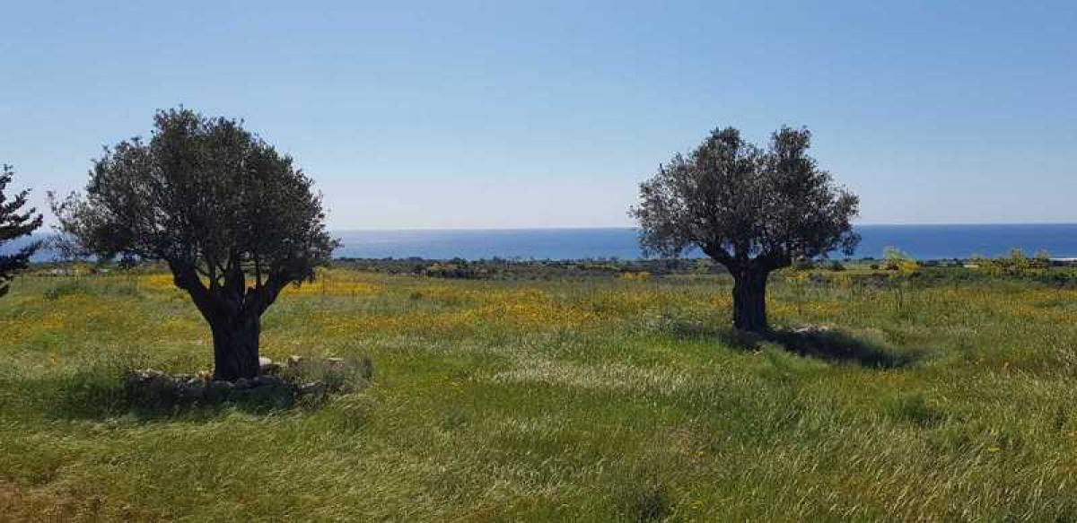 Picture of Residential Land For Sale in Agios Theodoros, Paphos, Cyprus