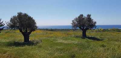 Residential Land For Sale in Agios Theodoros, Cyprus