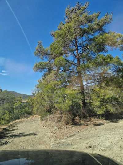 Residential Land For Sale in Agios Mamas, Cyprus