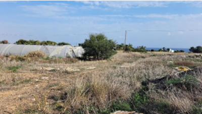 Residential Land For Sale in Agios Theodoros, Cyprus