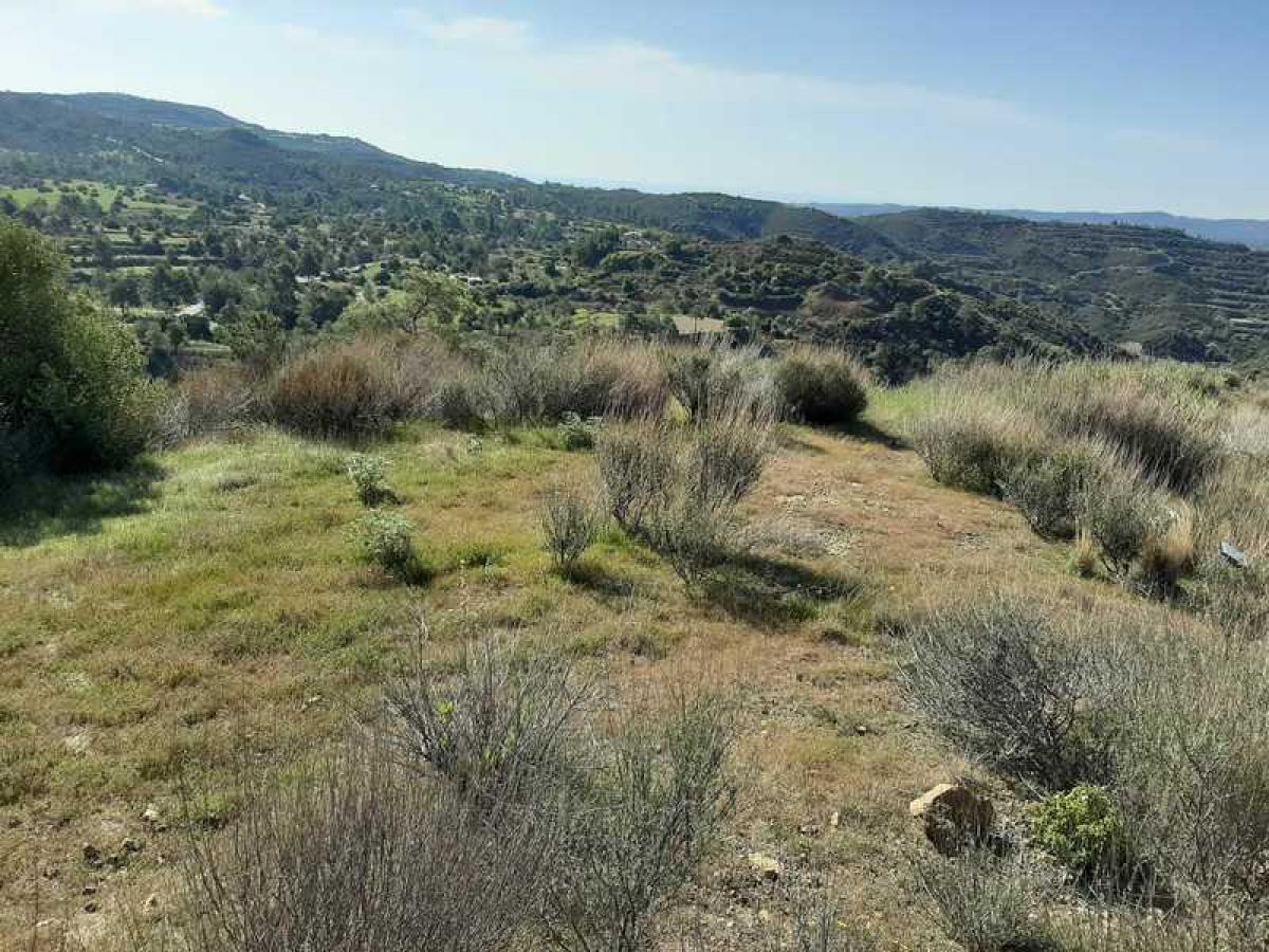 Picture of Residential Land For Sale in Lageia, Other, Cyprus