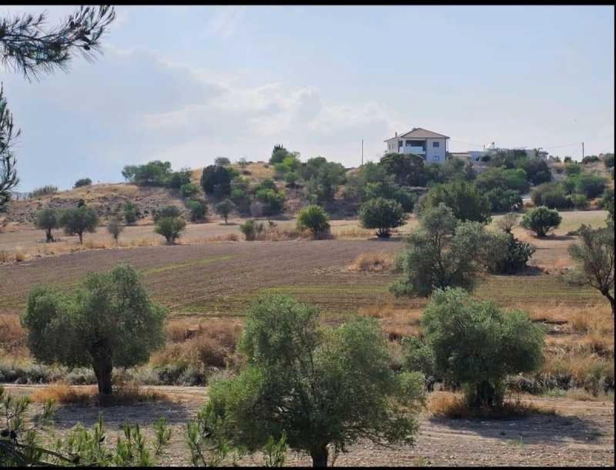 Picture of Residential Land For Sale in Lympia, Other, Cyprus