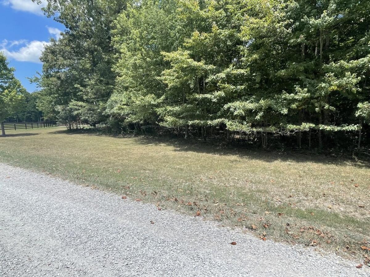 Picture of Residential Land For Sale in Spencer, Tennessee, United States