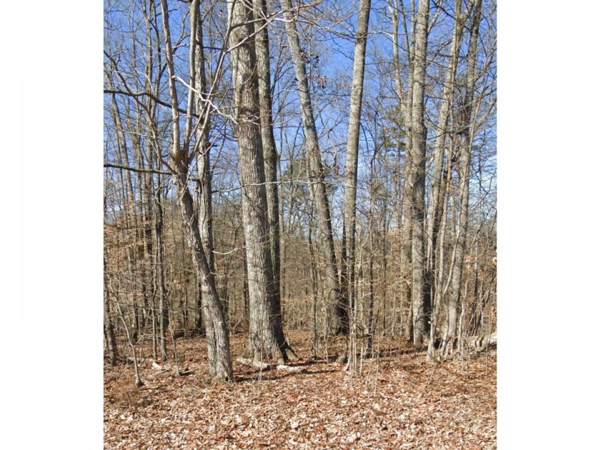 Picture of Residential Land For Sale in Rogersville, Tennessee, United States