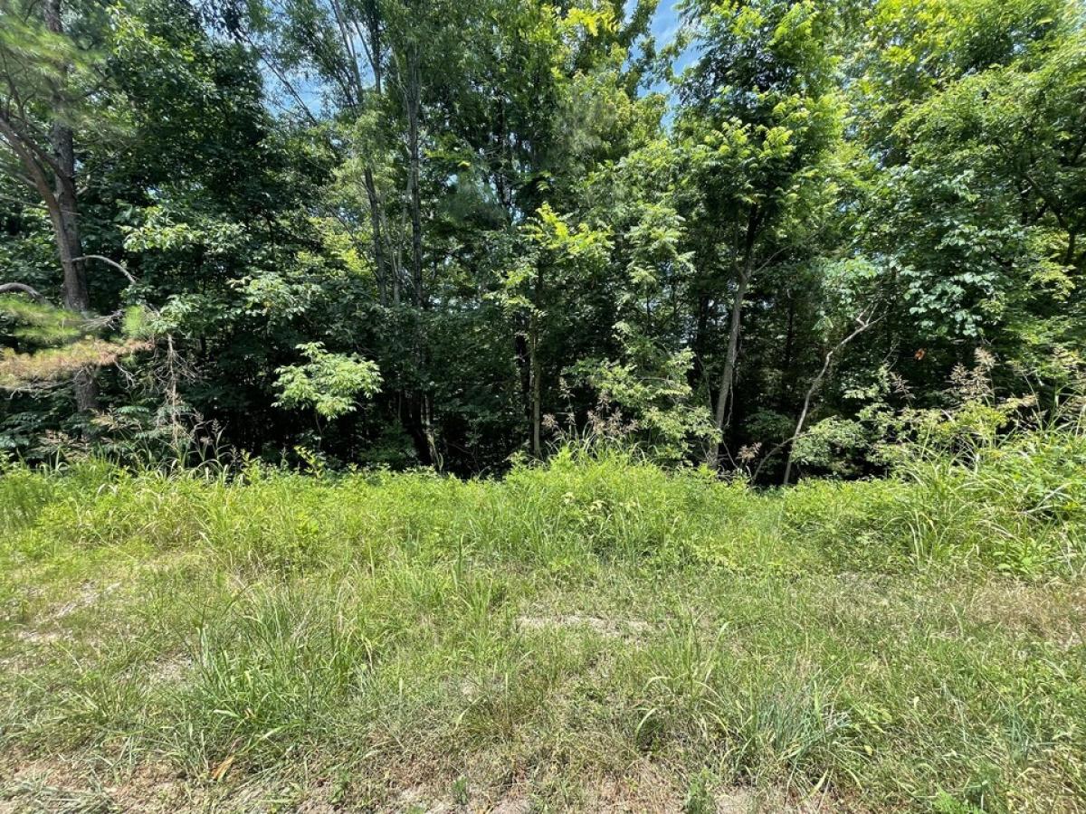 Picture of Residential Land For Sale in Lynnville, Tennessee, United States