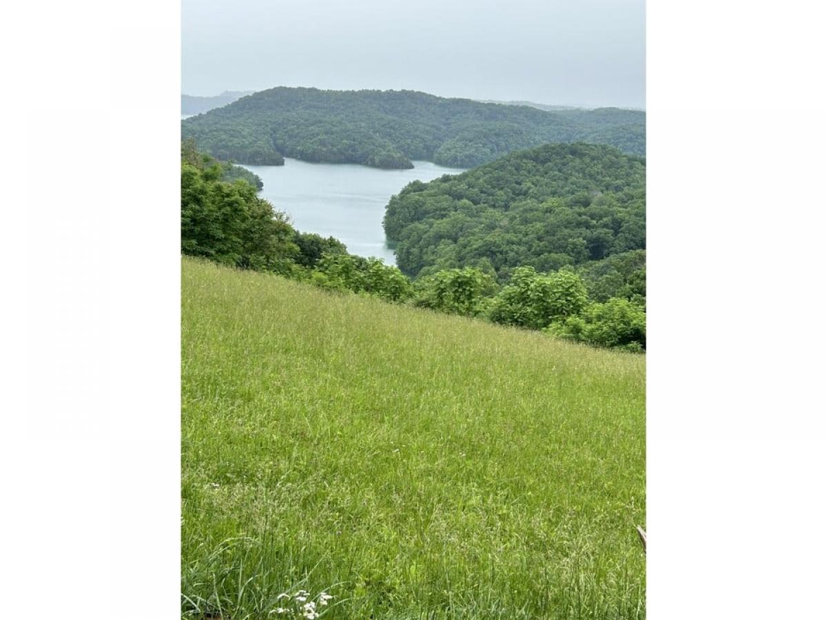 Picture of Residential Land For Sale in Hilham, Tennessee, United States