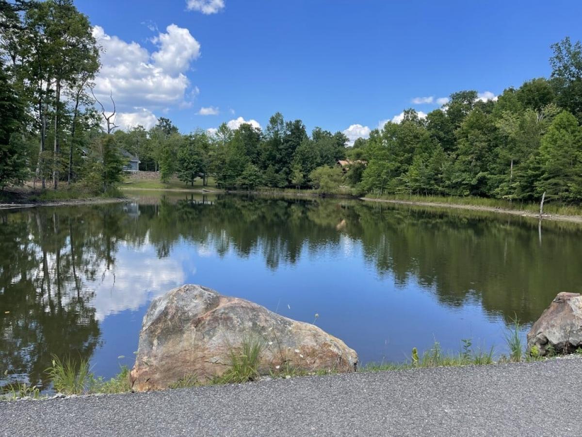 Picture of Residential Land For Sale in Dunlap, Tennessee, United States