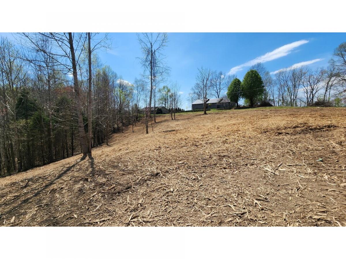 Picture of Residential Land For Sale in Smithville, Tennessee, United States