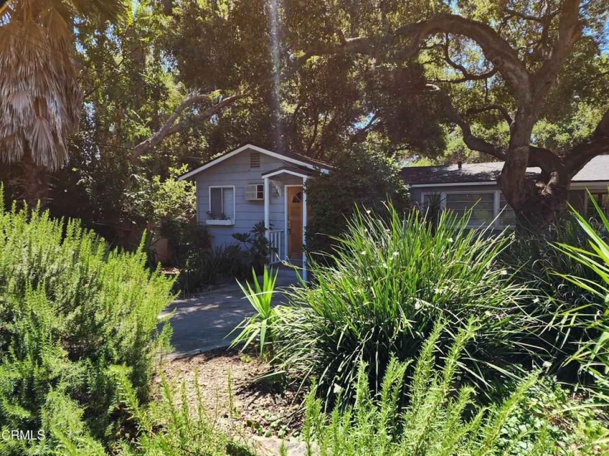 Picture of Home For Rent in Ojai, California, United States