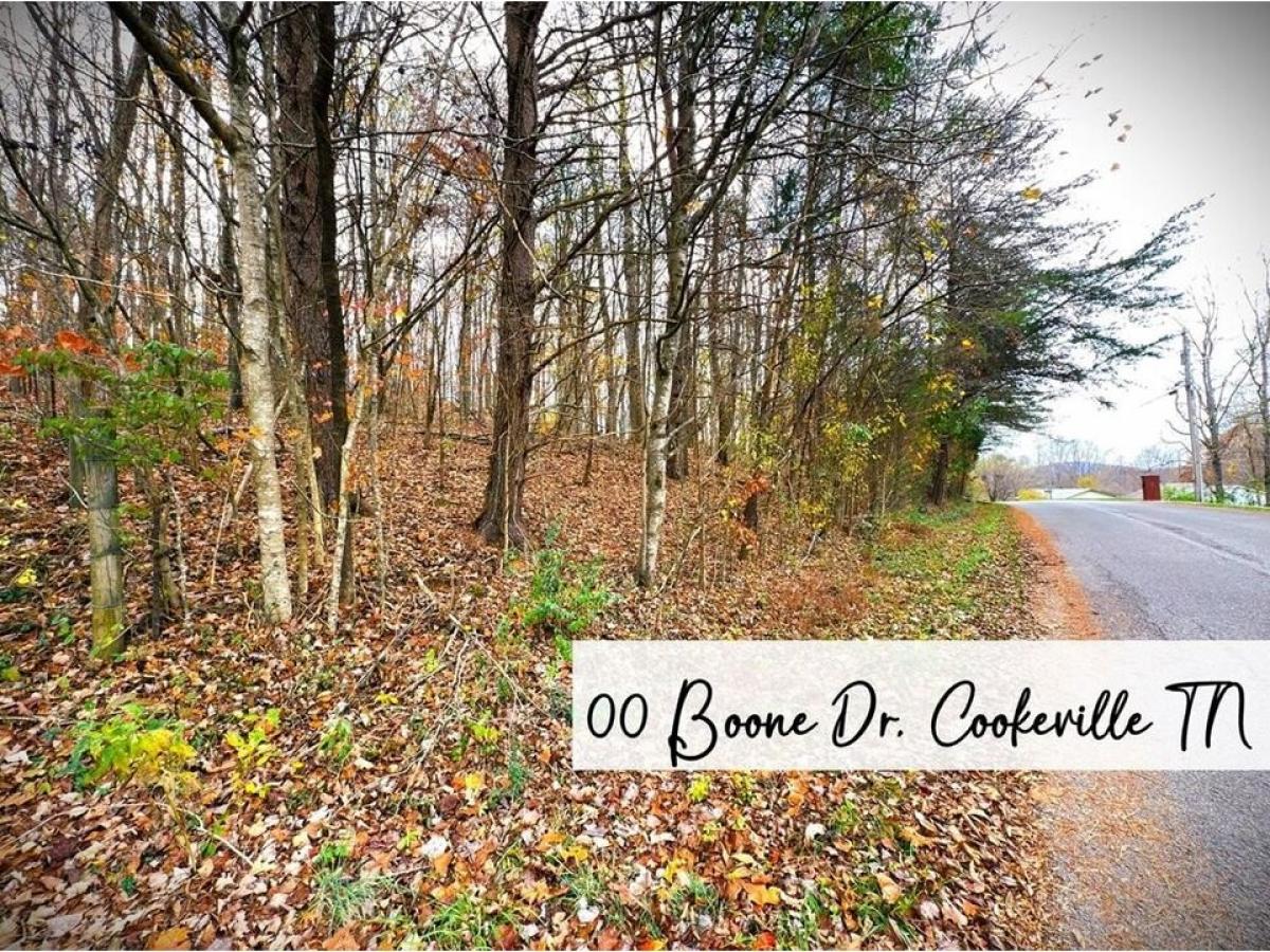 Picture of Residential Land For Sale in Cookeville, Tennessee, United States