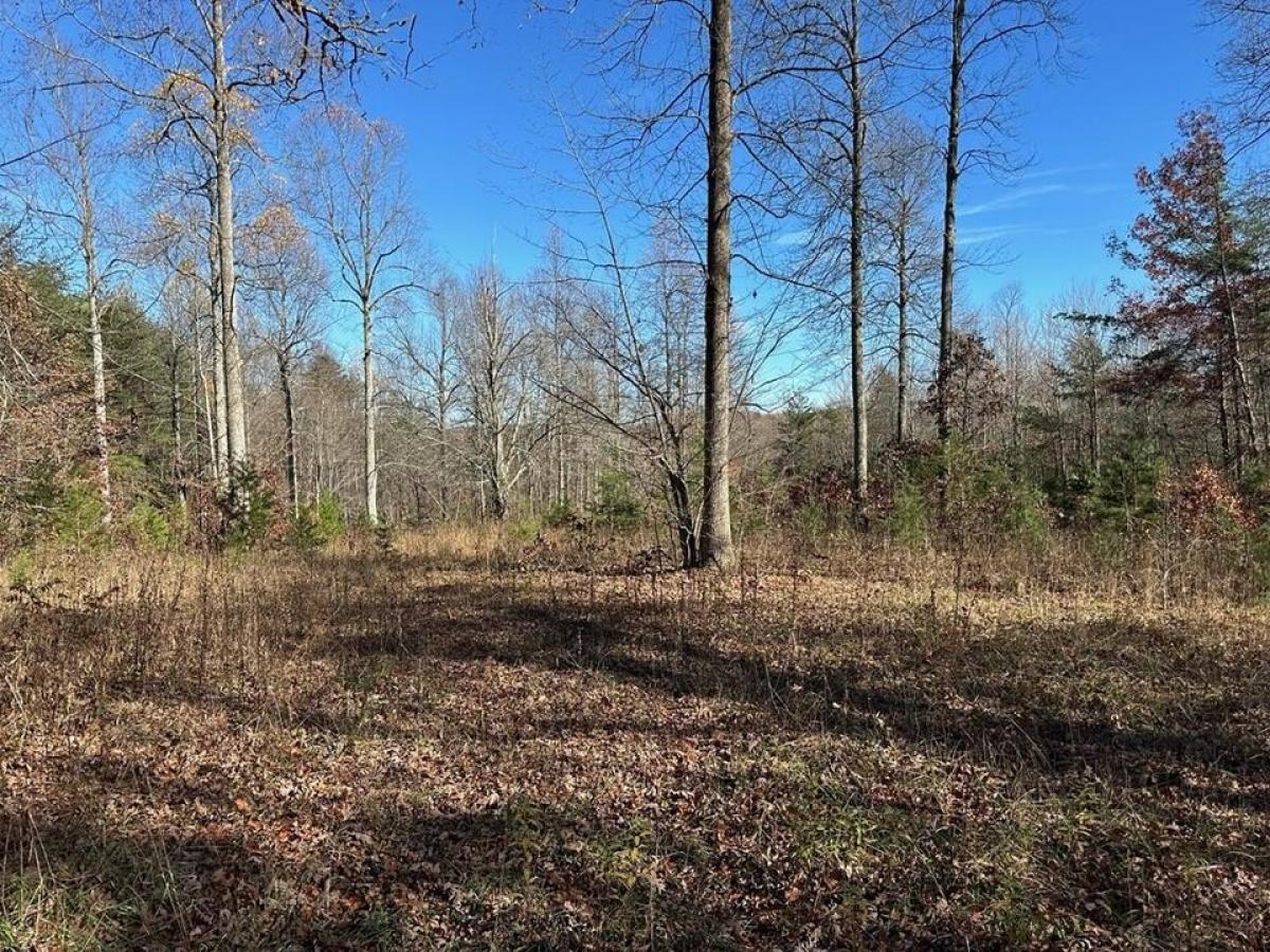 Picture of Residential Land For Sale in Monterey, Tennessee, United States