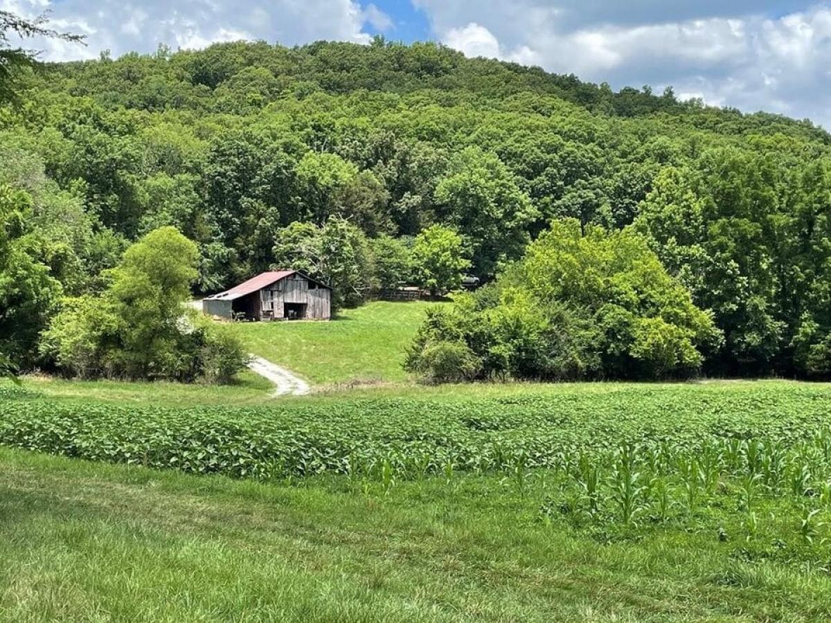 Picture of Residential Land For Sale in Rock Island, Tennessee, United States