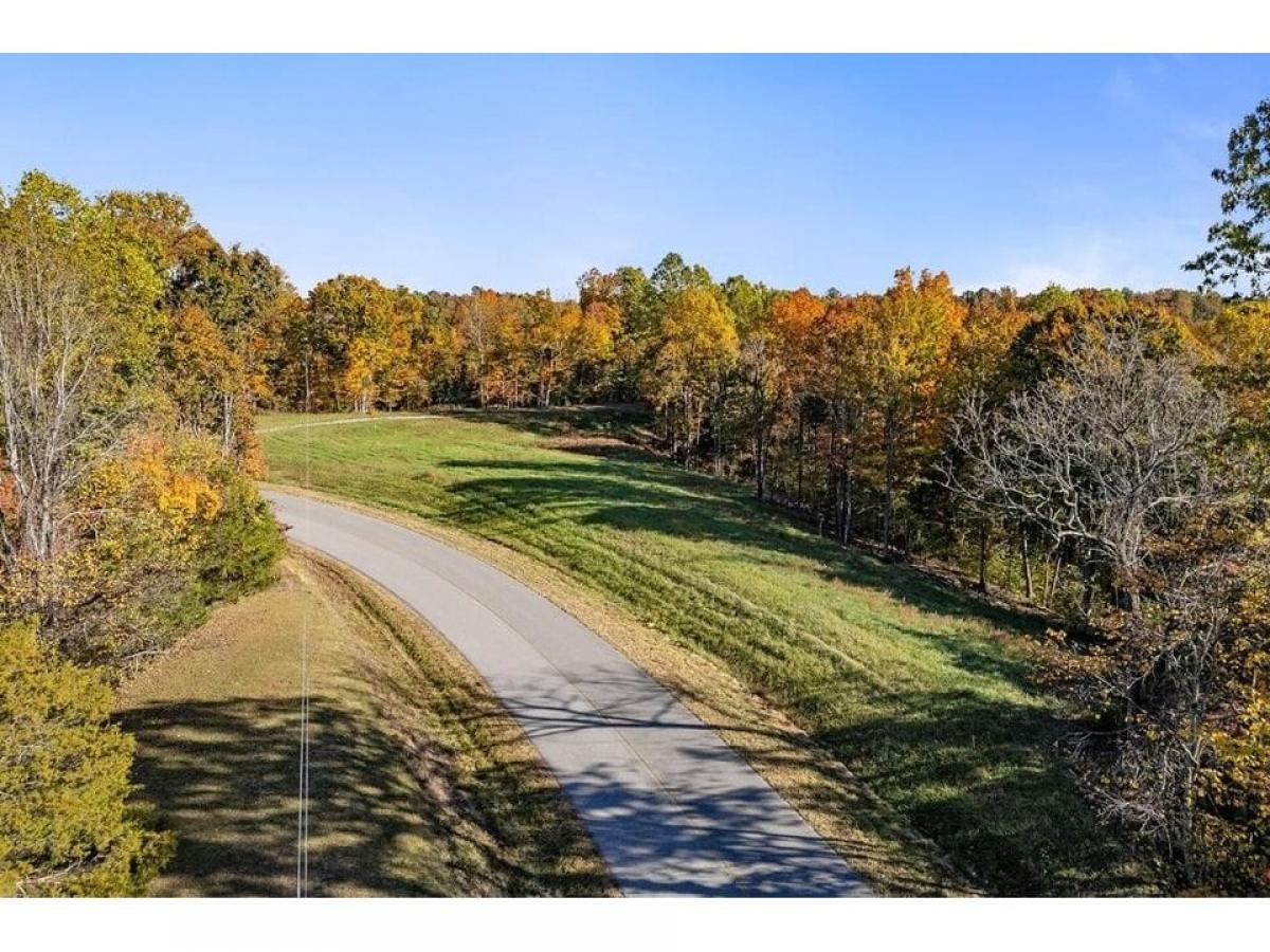 Picture of Residential Land For Sale in Gainesboro, Tennessee, United States