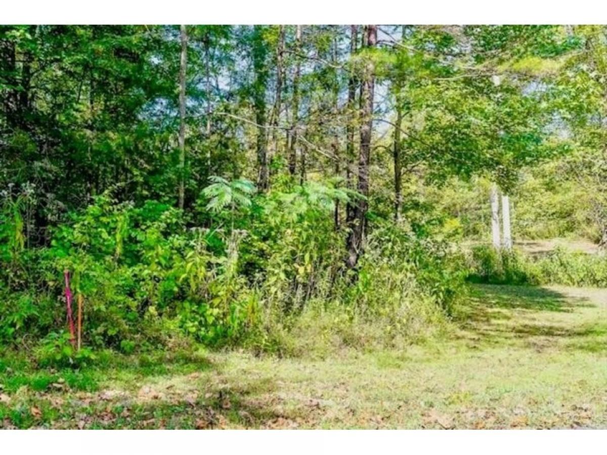 Picture of Residential Land For Sale in Alpine, Tennessee, United States